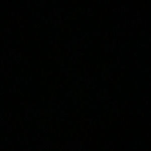 Meet your Posher, Isabella